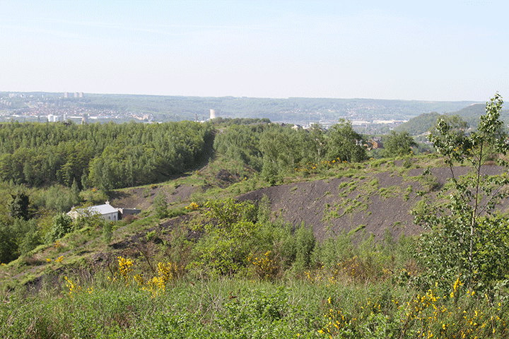 Aperçu Le Pays des Terrils