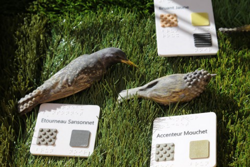 Aperçu Nature pour tous : 10 ans déjà!