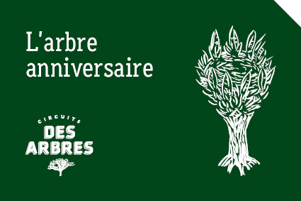 Aperçu 1 — L’arbre anniversaire